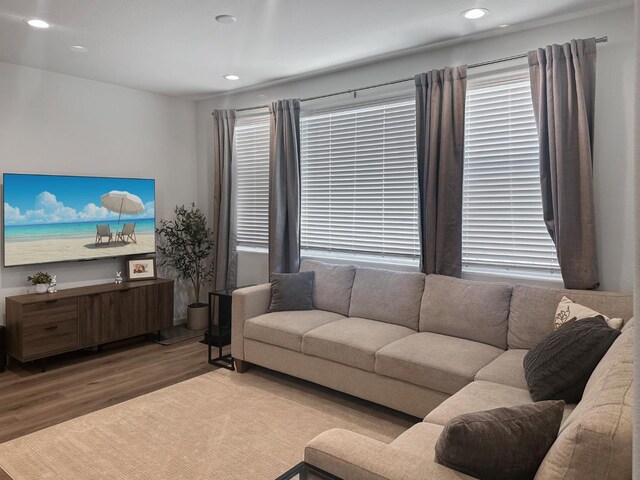 922 Winchell Way W, Madera, CA 93636 - living room with wood finished floors and recessed lighting