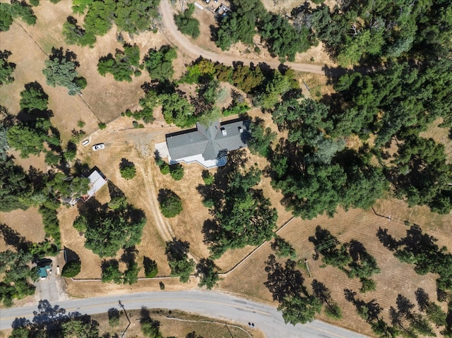 44670 Thunderhead Dr, Ahwahnee, CA 93601 - photo 45