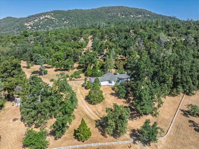 44670 Thunderhead Dr, Ahwahnee, CA 93601 - photo 6