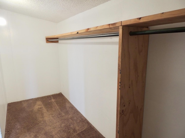 15716 S Hughes, Caruthers, CA 93609 - walk in closet featuring carpet