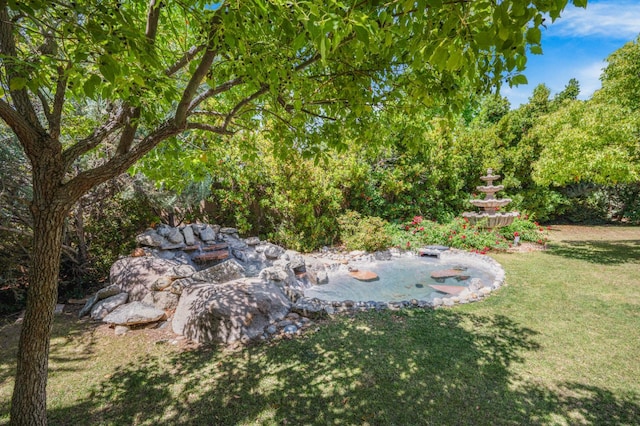 2136 E Royal Dornoch Ave, Fresno, CA 93730 - view of green lawn
