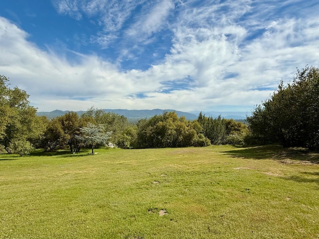 31117 Longview Ln E, Coarsegold, CA 93614 - view of property's community with a yard, a mountain view, and a view of trees