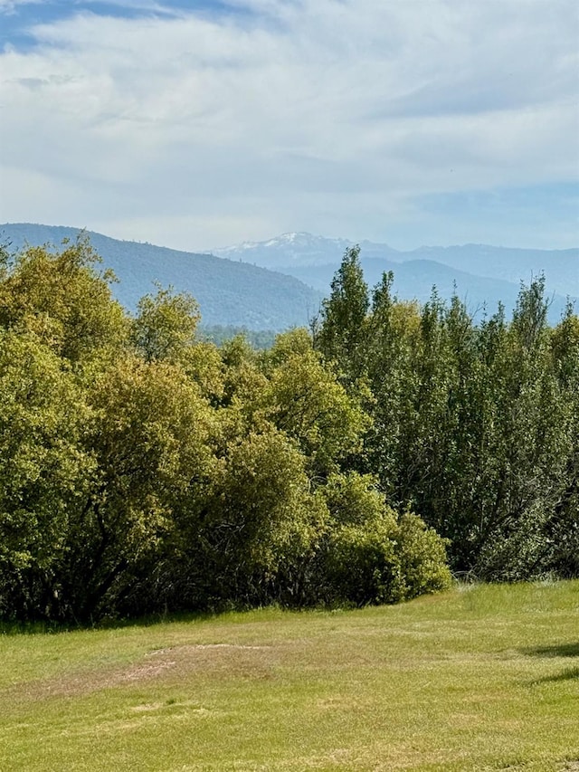 31117 Longview Ln E, Coarsegold, CA 93614 - mountain view