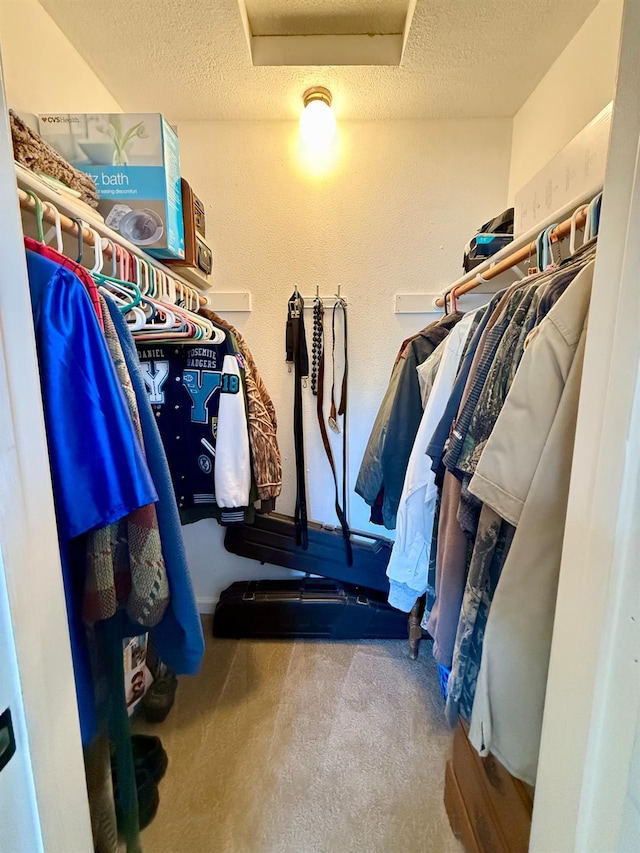 31117 Longview Ln E, Coarsegold, CA 93614 - walk in closet featuring attic access and carpet floors