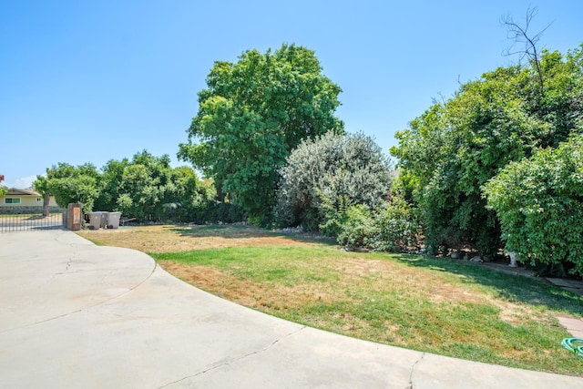 1438 E Rialto Ave, Fresno, CA 93704 - view of yard with a gate and concrete driveway