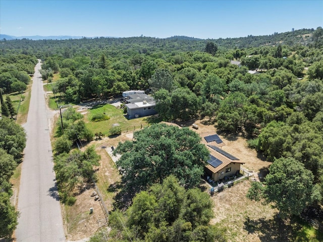 47440 Hopi Ave, Coarsegold, CA 93614 - photo 32