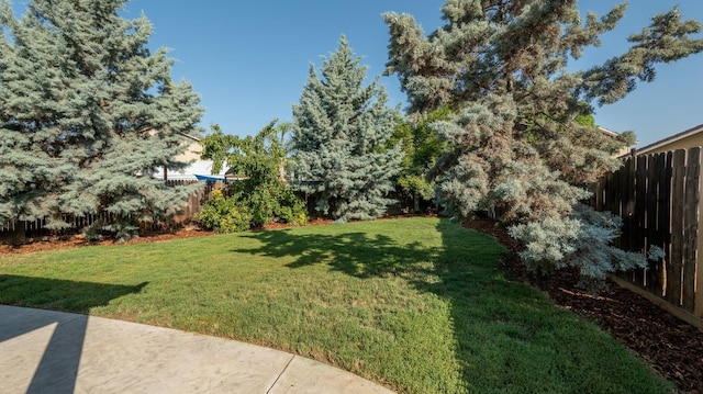 3083 N Stanley Ave, Fresno, CA 93737 - view of yard