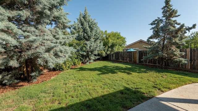 3083 N Stanley Ave, Fresno, CA 93737 - view of yard