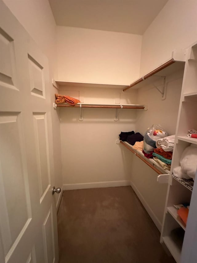 5804 W Chennault Ave, Fresno, CA 93722 - walk in closet featuring carpet floors