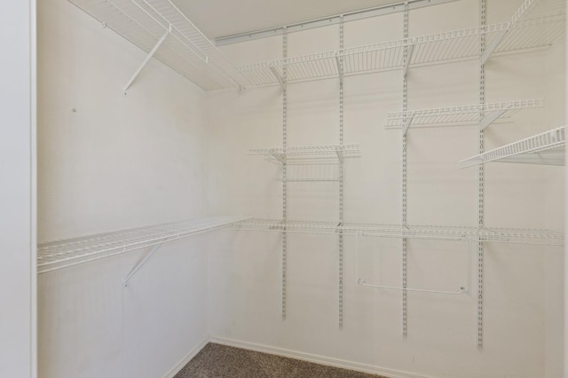 6481 N Alison Ln, Fresno, CA 93711 - walk in closet featuring carpet