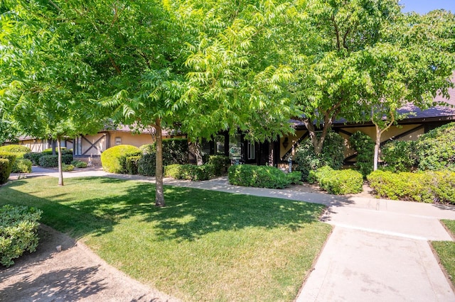 5072 N Forkner Ave, Fresno, CA 93711 - obstructed view of property featuring a front lawn