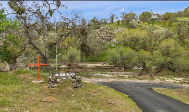 18371 Tollhouse Rd, Clovis, CA 93619 - photo 51