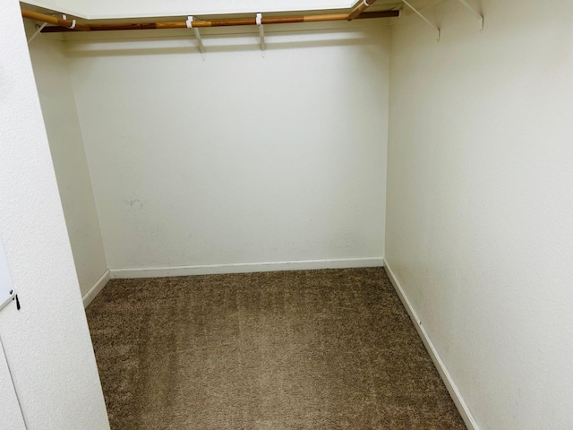 5795 E Beck Ave, Fresno, CA 93727 - walk in closet featuring carpet
