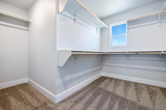 1276 Sauret St, Madera, CA 93638 - walk in closet with dark colored carpet
