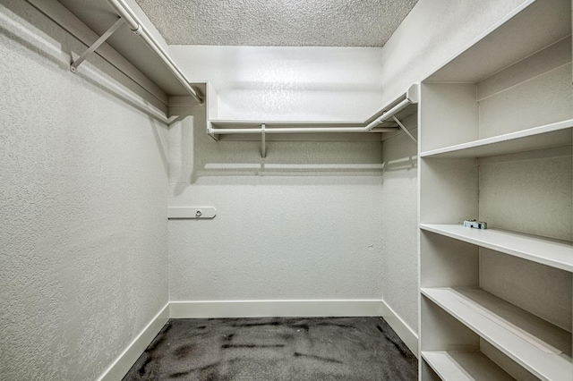 3841 W Alluvial Ave, Fresno, CA 93711 - spacious closet featuring carpet