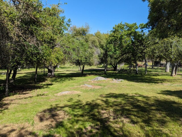 51410 Wildmint Ln, Yokuts Valley, CA 93675 - view of grassy yard