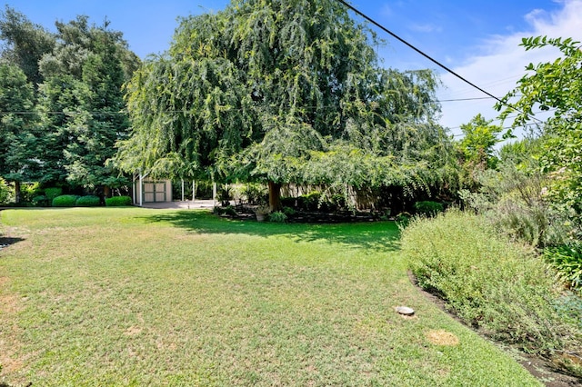 5835 E Hamilton Ave, Fresno, CA 93727 - view of green lawn