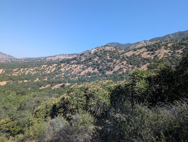 4 Millwood Rd, Dunlap, CA 93621