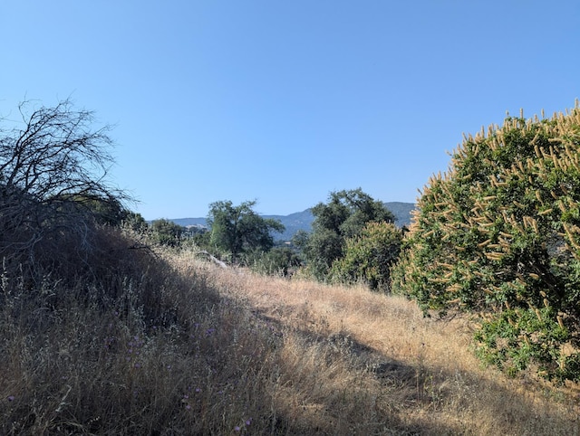 4 Millwood Rd, Dunlap, CA 93621
