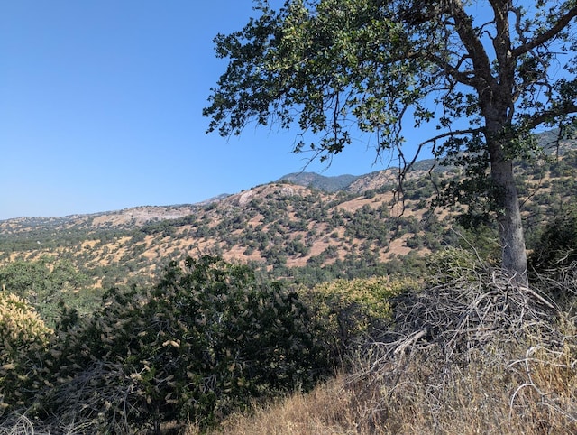 4 Millwood Rd, Dunlap, CA 93621