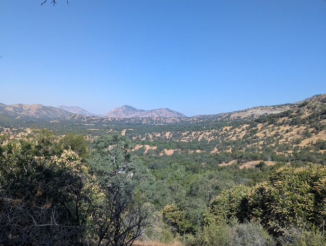 4 Millwood Rd, Dunlap, CA 93621