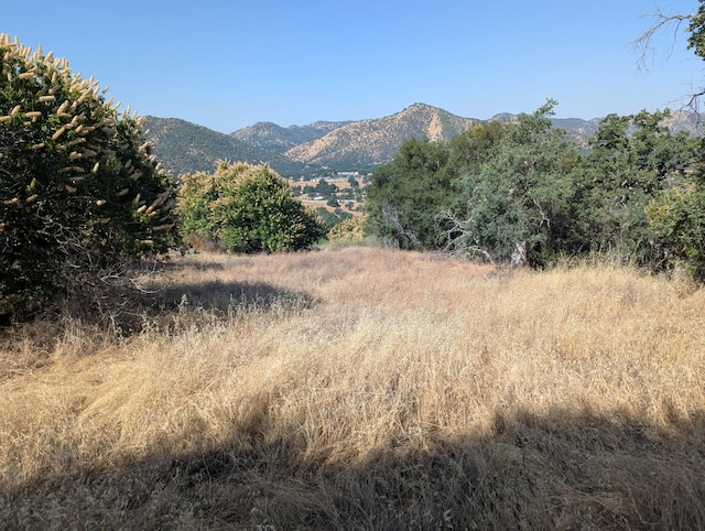 4 Millwood Rd, Dunlap, CA 93621