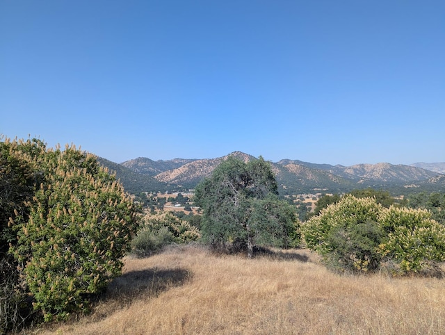 4 Millwood Rd, Dunlap, CA 93621
