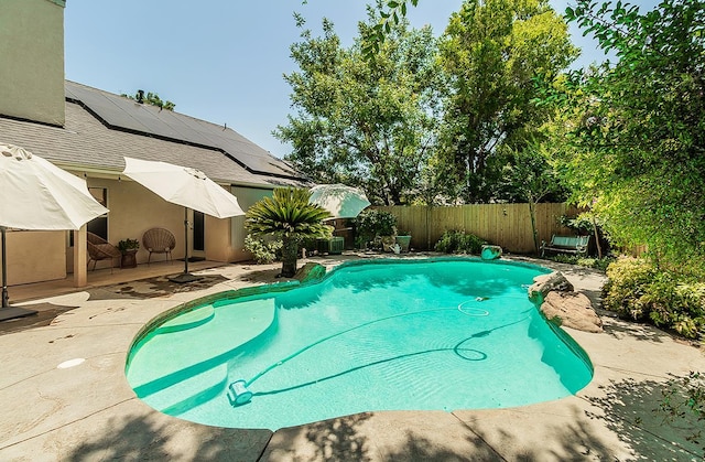 736 N Dartmouth Ave, Clovis, CA 93611 - view of swimming pool featuring a patio area and a fenced backyard