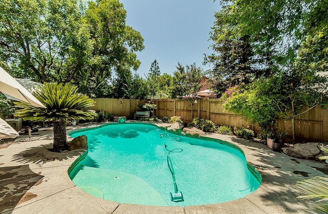 736 N Dartmouth Ave, Clovis, CA 93611 - view of pool featuring a fenced backyard