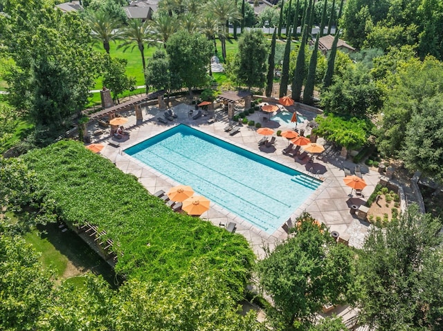 3675 Trenton Ln, Clovis, CA 93619 - community pool with a patio area