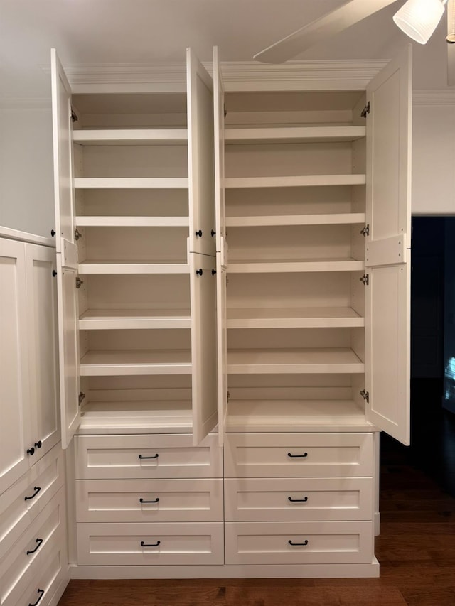 9850 N Winery Ave, Fresno, CA 93720 - view of closet