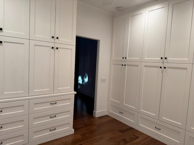 9850 N Winery Ave, Fresno, CA 93720 - view of closet