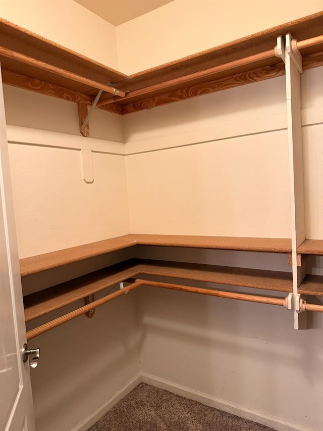 9850 N Winery Ave, Fresno, CA 93720 - walk in closet with carpet floors