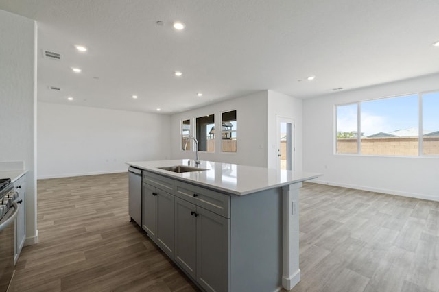 3210 Frontera Ave, Clovis, CA 93619 - kitchen featuring open floor plan, stainless steel appliances, a sink, gray cabinets, and light wood-style floors