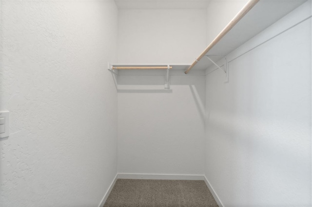 3210 Frontera Ave, Clovis, CA 93619 - walk in closet with carpet