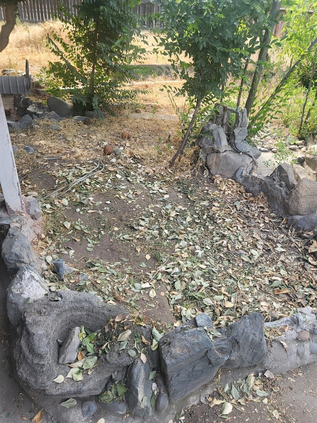 4531 E Fedora Ave, Fresno, CA 93726 - view of yard