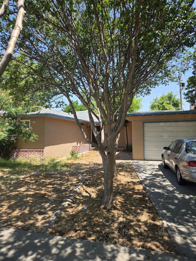 4531 E Fedora Ave, Fresno, CA 93726 - view of front of property featuring stucco siding and driveway