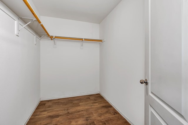 5576 E Burns Ave, Fresno, CA 93727 - spacious closet with wood finished floors