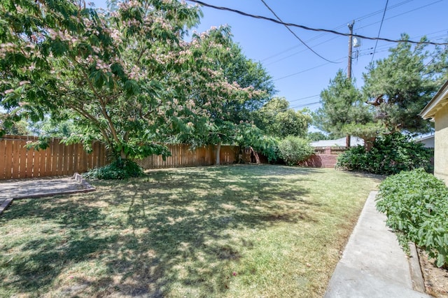 724 W Harvard Ave, Fresno, CA 93705 - view of yard