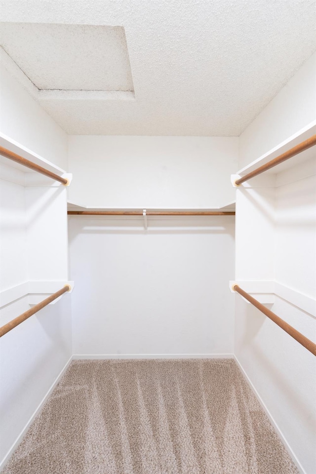 1707 Douglas Ave, Clovis, CA 93611 - spacious closet with carpet flooring and attic access