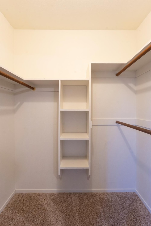 1707 Douglas Ave, Clovis, CA 93611 - walk in closet with carpet floors