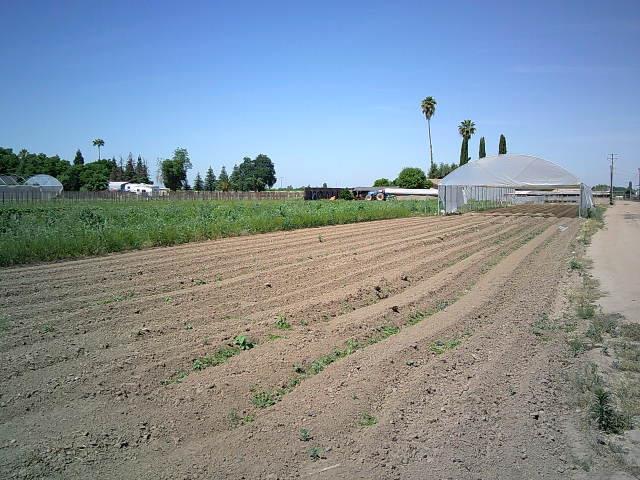 582 N Academy Ave, Sanger, CA 93657 - view of yard featuring a view of rural / pastoral area