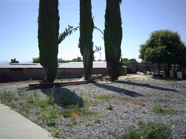 582 N Academy Ave, Sanger, CA 93657 - view of yard