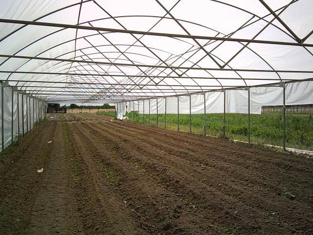 582 N Academy Ave, Sanger, CA 93657 - view of horse area