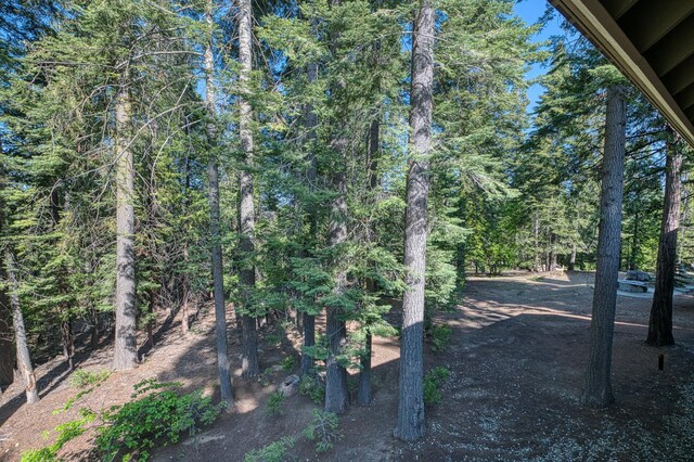 41228 Heartwood Ln, Shaver Lake, CA 93664 - view of yard with a forest view