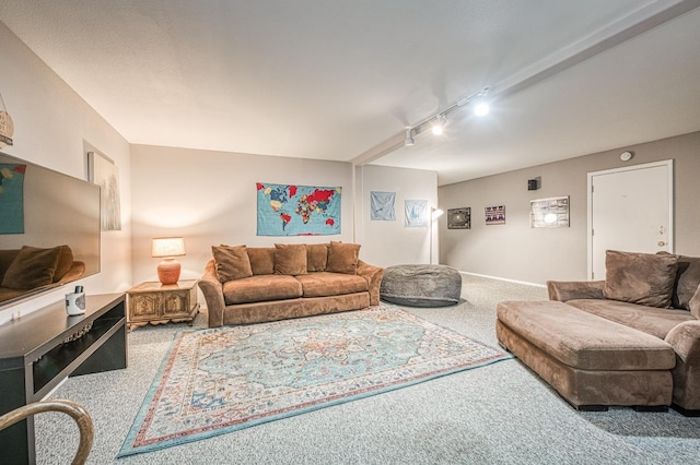 41228 Heartwood Ln, Shaver Lake, CA 93664 - living area featuring carpet and track lighting