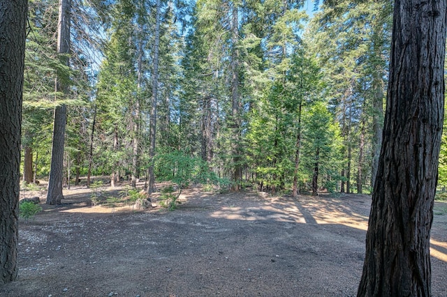 41228 Heartwood Ln, Shaver Lake, CA 93664 - view of street with a wooded view