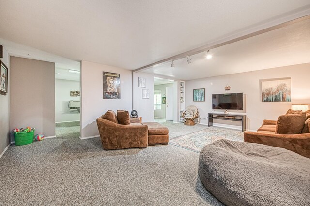 41228 Heartwood Ln, Shaver Lake, CA 93664 - living room with carpet, baseboards, and rail lighting