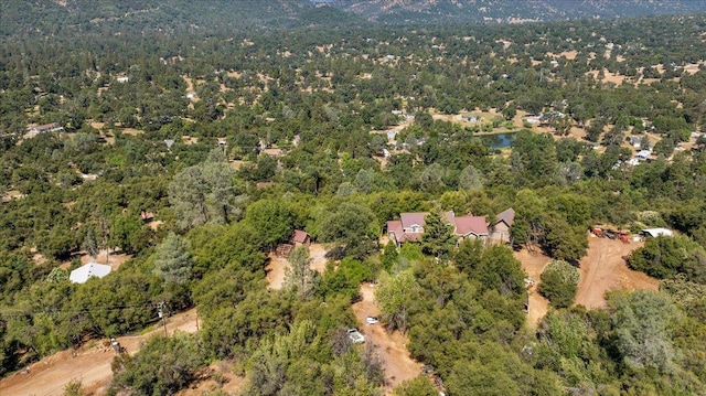 46281 Eastwood Dr S, Oakhurst, CA 93644 - photo 76