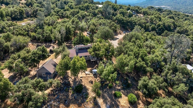 46281 Eastwood Dr S, Oakhurst, CA 93644 - photo 67